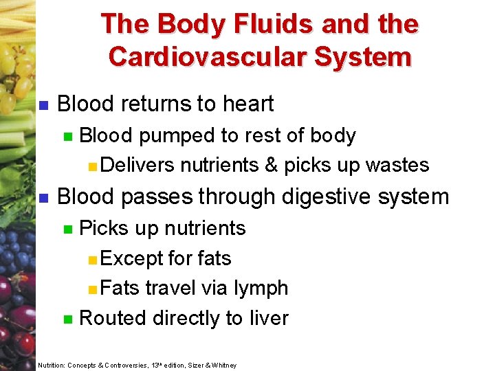 The Body Fluids and the Cardiovascular System n Blood returns to heart n n