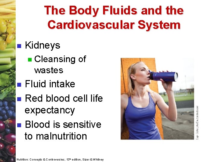 The Body Fluids and the Cardiovascular System n Kidneys n n Cleansing of wastes