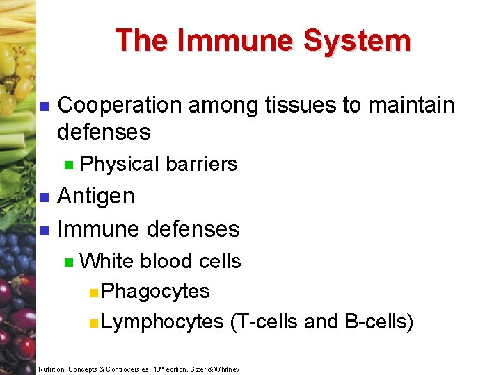 The Immune System n Cooperation among tissues to maintain defenses n n n Physical