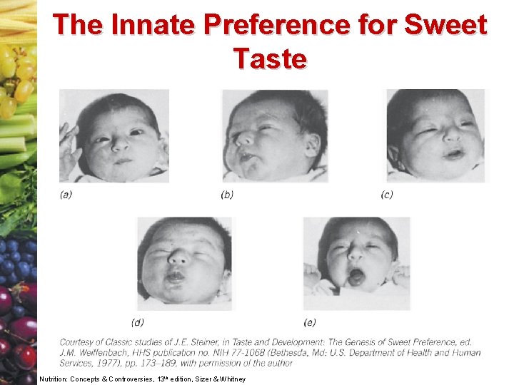 The Innate Preference for Sweet Taste Nutrition: Concepts & Controversies, 13 th edition, Sizer