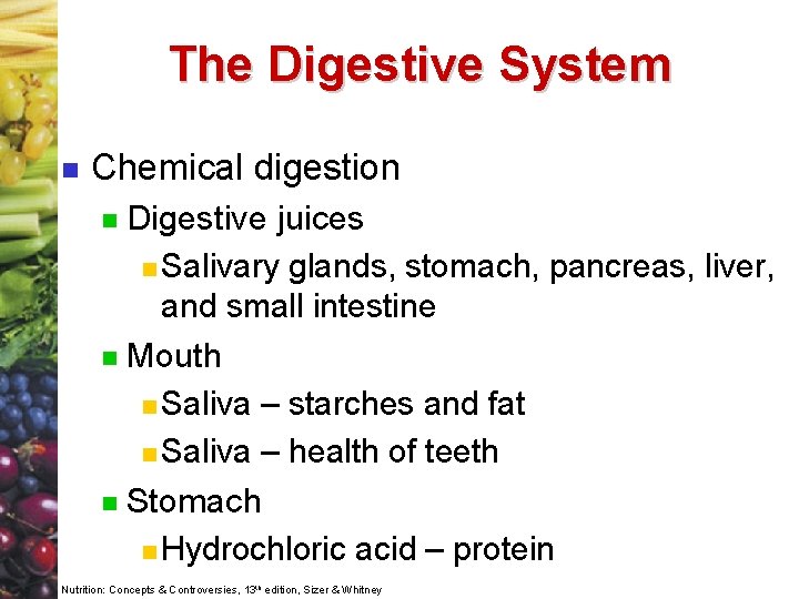 The Digestive System n Chemical digestion Digestive juices n Salivary glands, stomach, pancreas, liver,