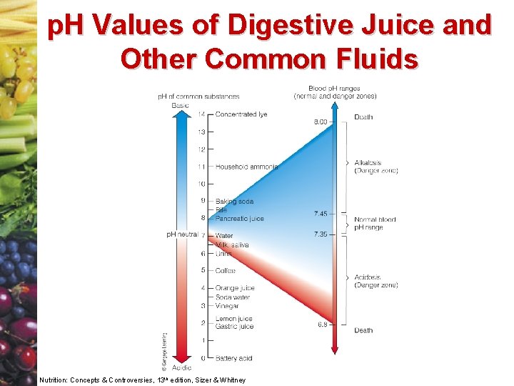 p. H Values of Digestive Juice and Other Common Fluids Nutrition: Concepts & Controversies,