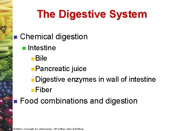 The Digestive System n Chemical digestion n n Intestine n Bile n Pancreatic juice