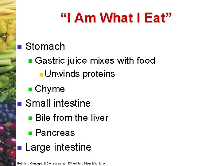 “I Am What I Eat” n n n Stomach n Gastric juice mixes with