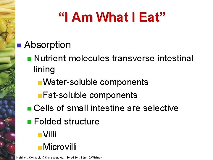 “I Am What I Eat” n Absorption Nutrient molecules transverse intestinal lining n Water-soluble