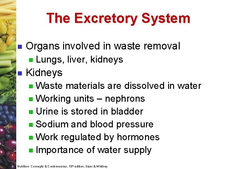 The Excretory System n Organs involved in waste removal n n Lungs, liver, kidneys