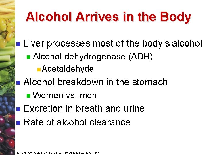 Alcohol Arrives in the Body n Liver processes most of the body’s alcohol n