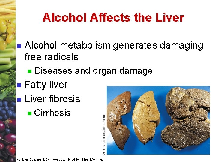 Alcohol Affects the Liver n Alcohol metabolism generates damaging free radicals n n n
