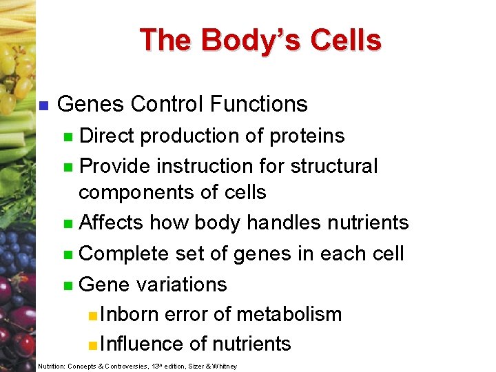 The Body’s Cells n Genes Control Functions Direct production of proteins n Provide instruction