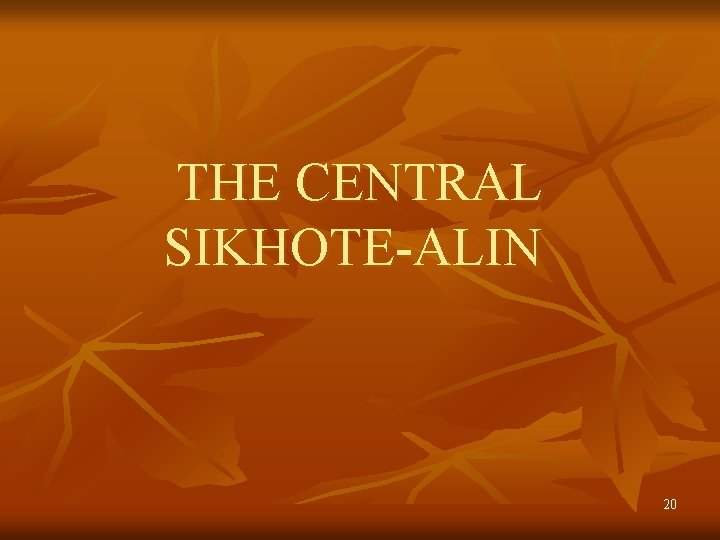 THE CENTRAL SIKHOTE-ALIN 20 