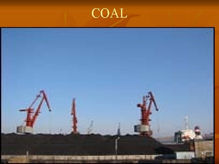 COAL 40 COAL 40
