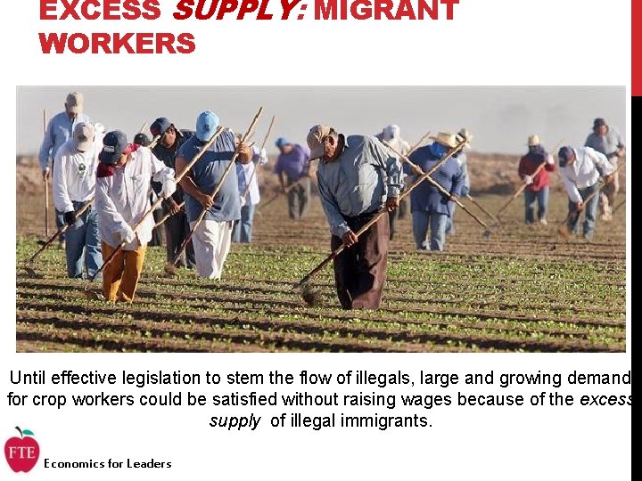 EXCESS SUPPLY: MIGRANT WORKERS Until effective legislation to stem the flow of illegals, large