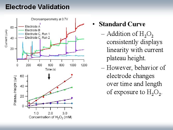 Electrode Validation • Standard Curve – Addition of H 2 O 2 consistently displays