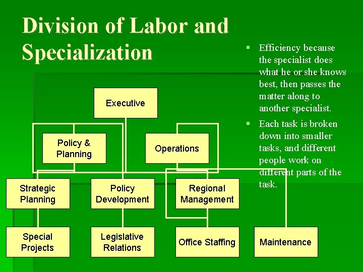 Division of Labor and Specialization Executive Policy & Planning Operations Strategic Planning Policy Development