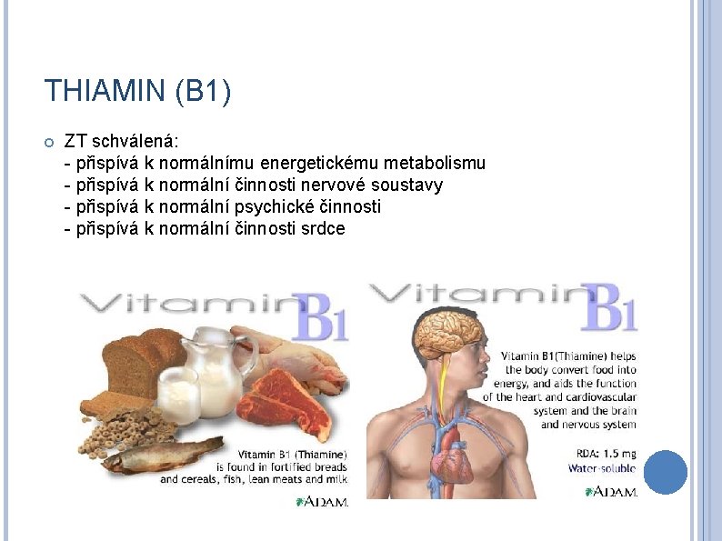 THIAMIN (B 1) ZT schválená: - přispívá k normálnímu energetickému metabolismu - přispívá k