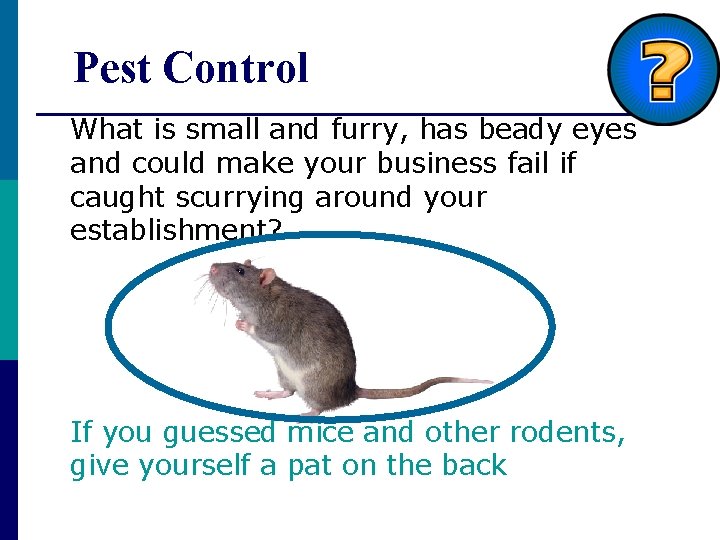 Pest Control What is small and furry, has beady eyes and could make your