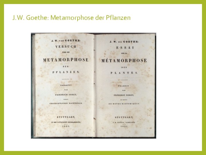 J. W. Goethe: Metamorphose der Pflanzen 