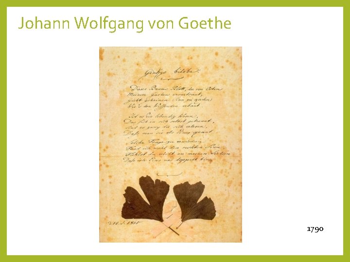 Johann Wolfgang von Goethe 1790 