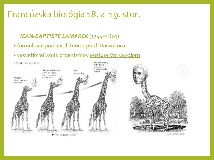 Francúzska biológia 18. a 19. stor. JEAN-BAPTISTE LAMARCK (1744– 1829) • formuloval prvú evol.