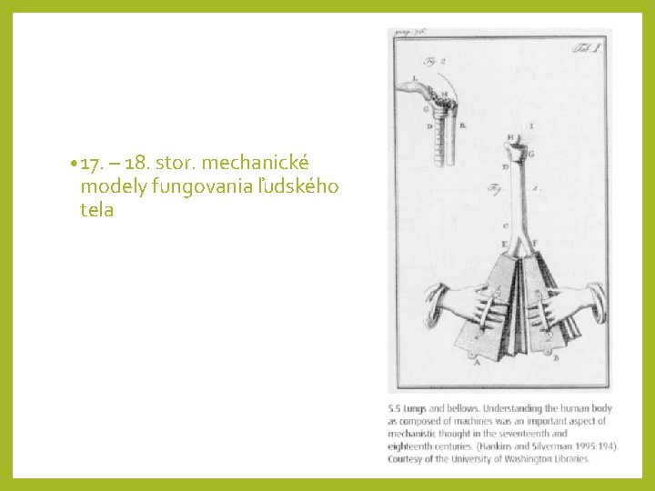  • 17. – 18. stor. mechanické modely fungovania ľudského tela 