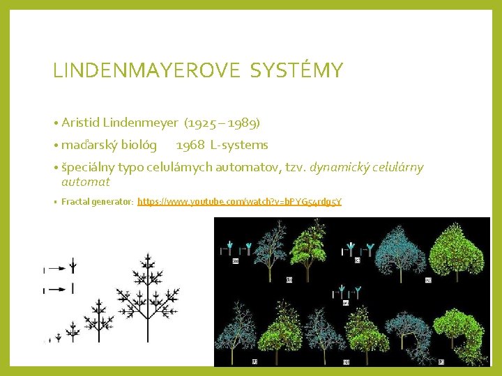 LINDENMAYEROVE SYSTÉMY • Aristid Lindenmeyer (1925 – 1989) • maďarský biológ 1968 L-systems •