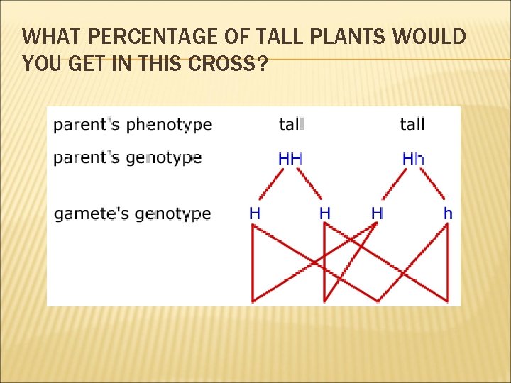 WHAT PERCENTAGE OF TALL PLANTS WOULD YOU GET IN THIS CROSS? 