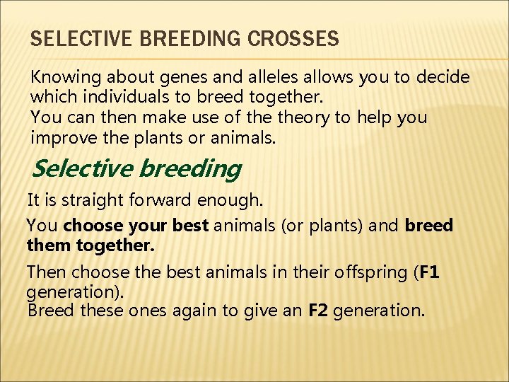 SELECTIVE BREEDING CROSSES Knowing about genes and alleles allows you to decide which individuals