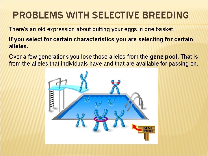 PROBLEMS WITH SELECTIVE BREEDING There's an old expression about putting your eggs in one