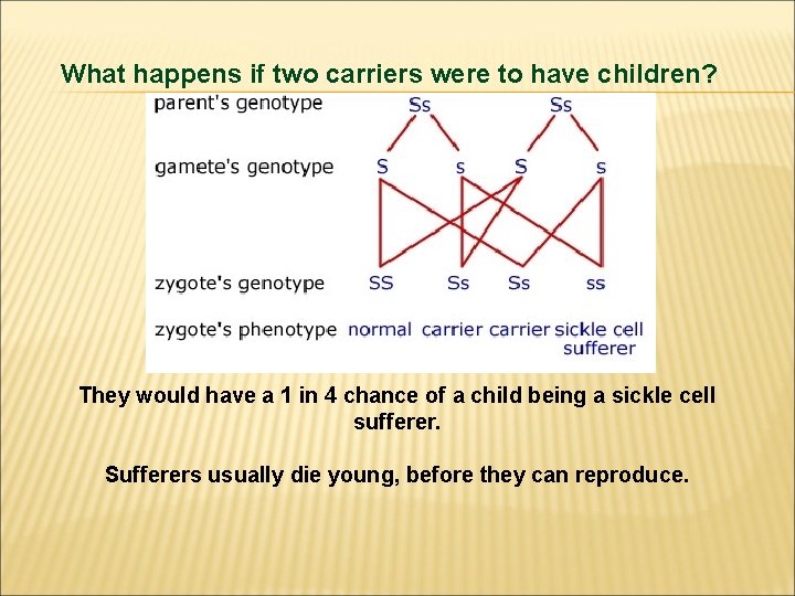 What happens if two carriers were to have children? They would have a 1