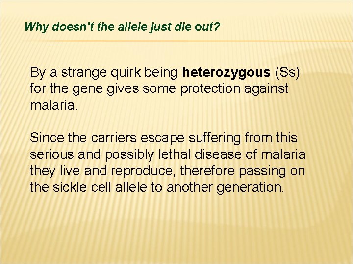 Why doesn't the allele just die out? By a strange quirk being heterozygous (Ss)