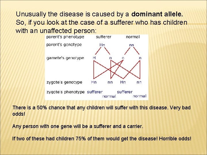 Unusually the disease is caused by a dominant allele. So, if you look at