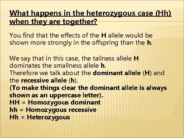 What happens in the heterozygous case (Hh) when they are together? You find that