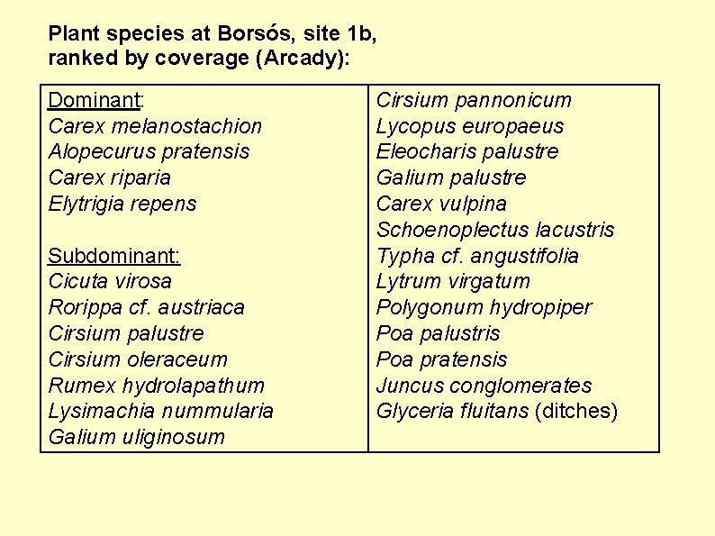 Plant species at Borsós, site 1 b, ranked by coverage (Arcady): Dominant: Carex melanostachion