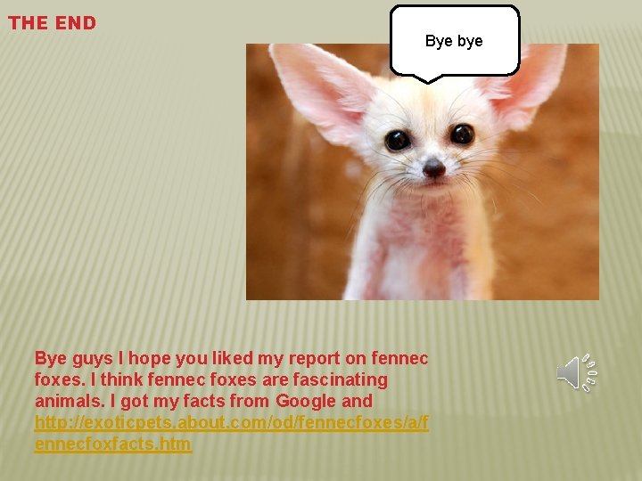 THE END Bye bye Bye guys I hope you liked my report on fennec