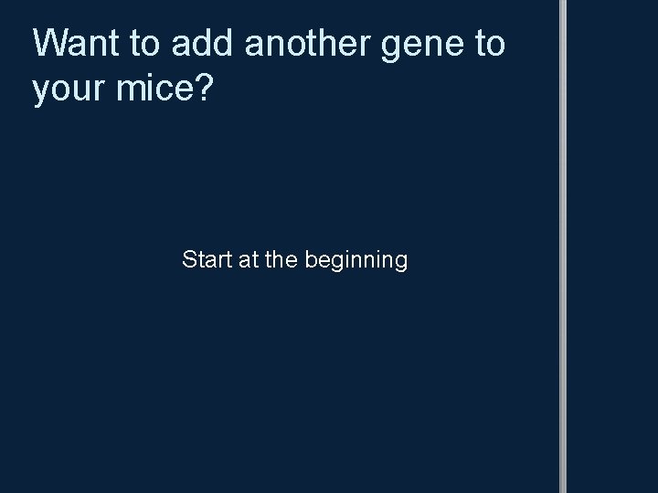 Want to add another gene to your mice? Start at the beginning 