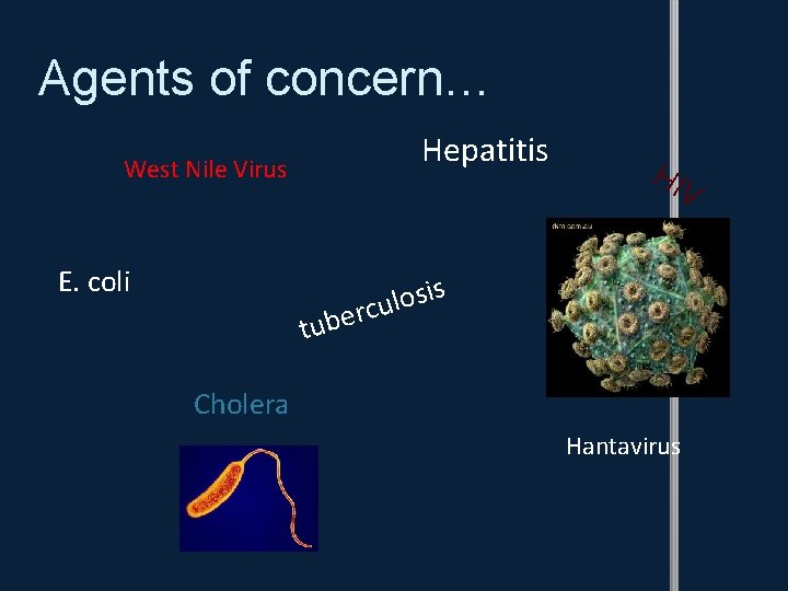 Agents of concern… West Nile Virus E. coli Hepatitis HI V s i s