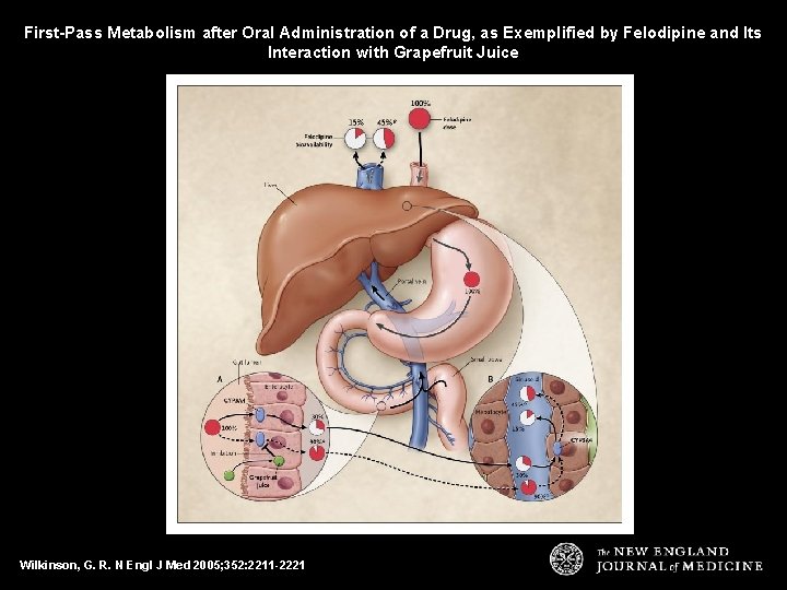 First-Pass Metabolism after Oral Administration of a Drug, as Exemplified by Felodipine and Its