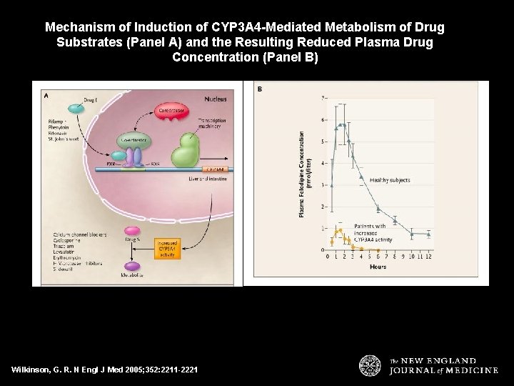 Mechanism of Induction of CYP 3 A 4 -Mediated Metabolism of Drug Substrates (Panel