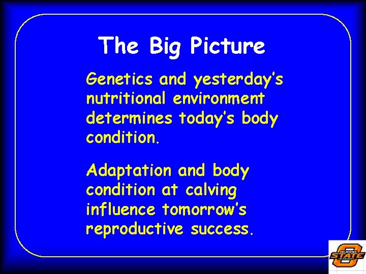 The Big Picture Genetics and yesterday’s nutritional environment determines today’s body condition. Adaptation and