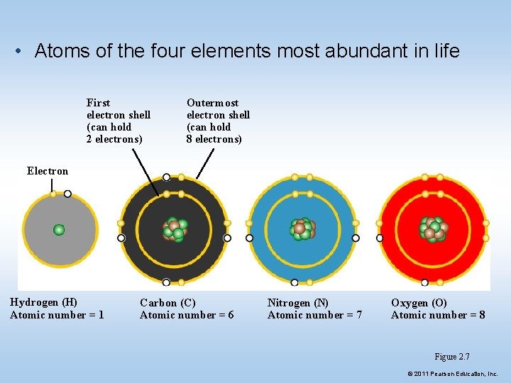  • Atoms of the four elements most abundant in life First electron shell