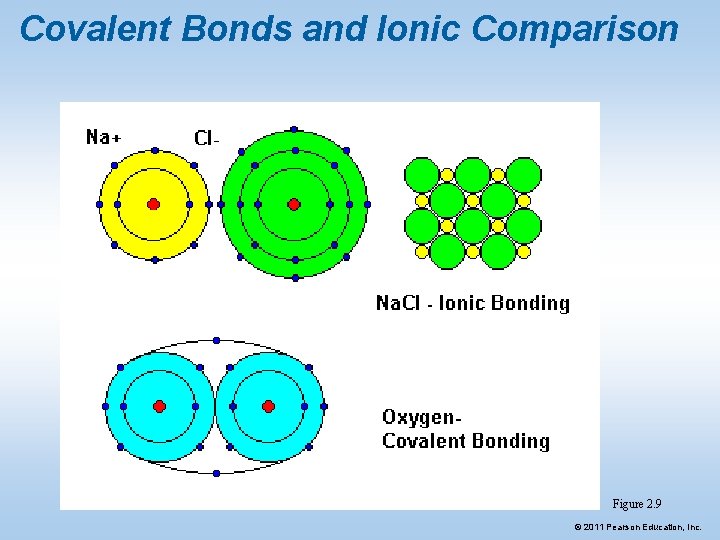 Covalent Bonds and Ionic Comparison Figure 2. 9 © 2011 Pearson Education, Inc. Covalent Bonds and Ionic Comparison Figure 2. 9 © 2011 Pearson Education, Inc.