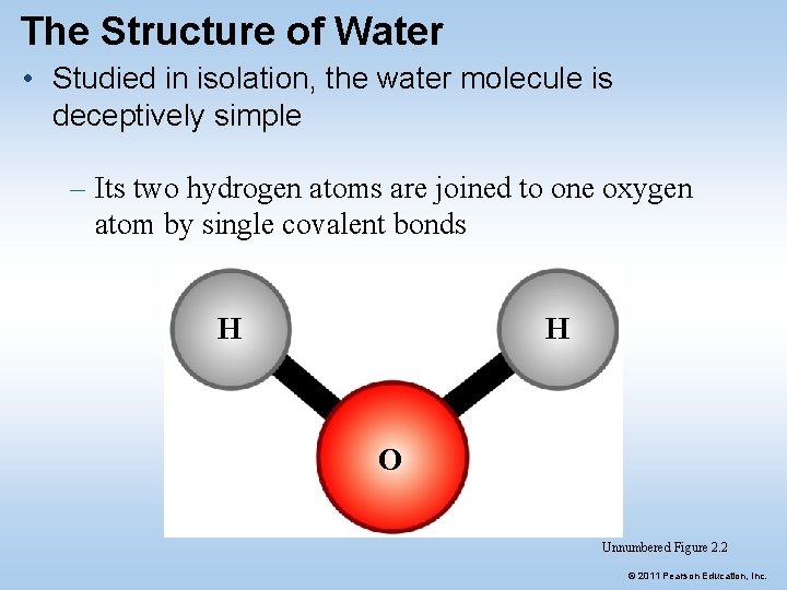The Structure of Water • Studied in isolation, the water molecule is deceptively simple The Structure of Water • Studied in isolation, the water molecule is deceptively simple