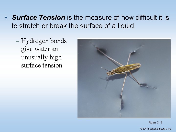 • Surface Tension is the measure of how difficult it is to stretch