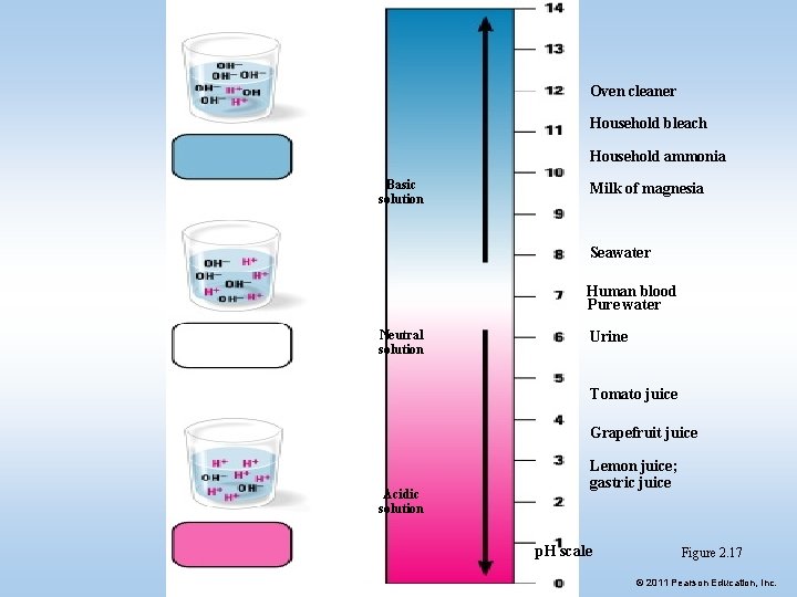 Oven cleaner Household bleach Household ammonia Basic solution Milk of magnesia Seawater Human blood