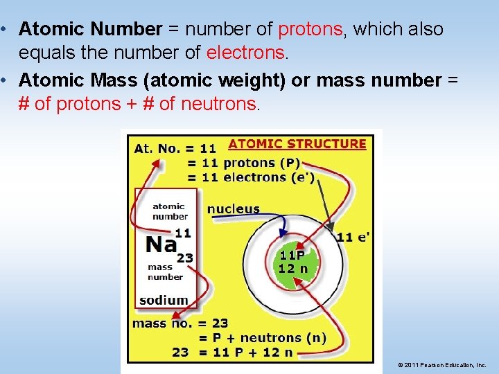  • Atomic Number = number of protons, which also equals the number of