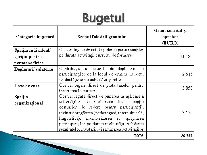 Bugetul Categoria bugetară Sprijin individual/ sprijin pentru persoane fizice Deplasări/ călătorie Taxe de curs