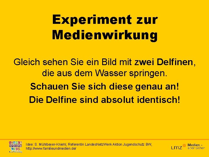 Experiment zur Medienwirkung Gleich sehen Sie ein Bild mit zwei Delfinen, die aus dem