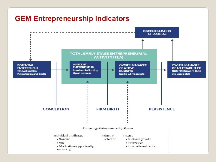 GEM Entrepreneurship indicators 