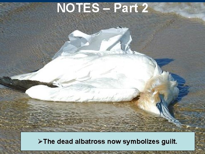 NOTES – Part 2 ØThe dead albatross now symbolizes guilt. NOTES – Part 2 ØThe dead albatross now symbolizes guilt.