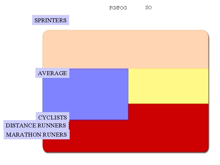 FG/FOG SPRINTERS AVERAGE CYCLISTS DISTANCE RUNNERS MARATHON RUNERS SO 